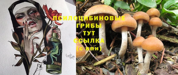 мескалин Медногорск