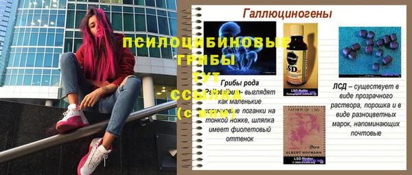 прущая мука Михайловск