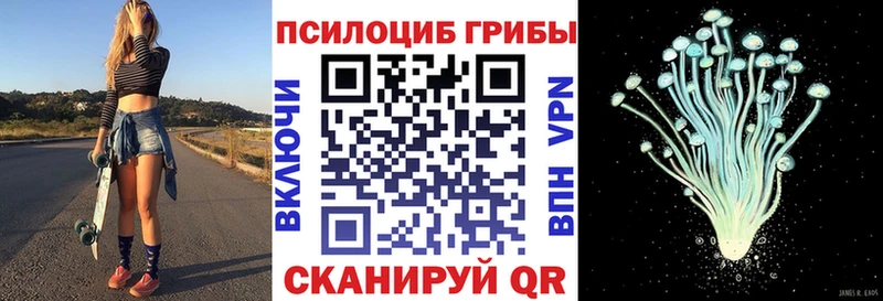 Псилоцибиновые грибы ЛСД  Почеп 